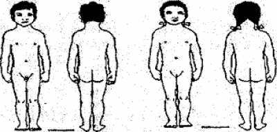 Sekcija za forenzičnu psihologiju - 9.12.2015.