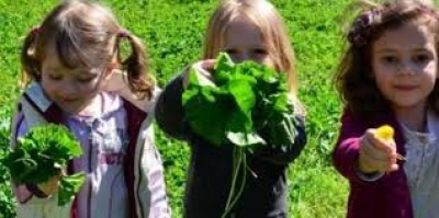 Psiholozi u predškolskim ustanovama - članak u Glasu Istre