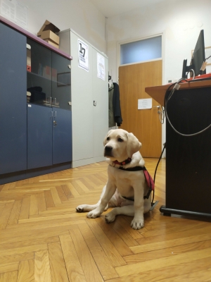 Sekcija za penološku psihologiju - poziv na sastanak sa stručnim predavanjem - 13.2.26.