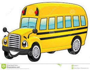 Autobusom od Ploča do Rovinja - organizirani prijevoz