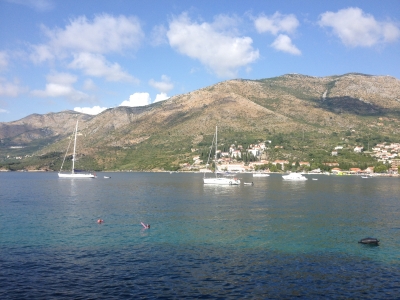 Sekcija za ekolo&scaron;ku psihologiju - najava sastanka za 26.7.19.