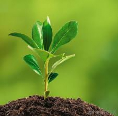 Sekcija za ekološku psihologiju - poziv na sastanak 14.12.2019.